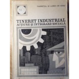 TINERET INDUSTRIAL. ACTIUNE SI INTEGRARE SOCIALA-CERCETARE SOCIOLOGICA CONDUSA DE OVIDIU BADINA-234945