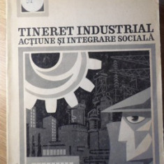 TINERET INDUSTRIAL. ACTIUNE SI INTEGRARE SOCIALA-CERCETARE SOCIOLOGICA CONDUSA DE OVIDIU BADINA