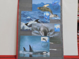 Australia Antarctic Territory - Set 4 Maxi Cards balene si delfini din Artica -, Fauna