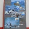 Australia Antarctic Territory - Set 4 Maxi Cards balene si delfini din Artica -