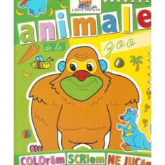 Animale de la zoo. Carte de colorat - Paperback brosat - *** - Lizuka Educativ