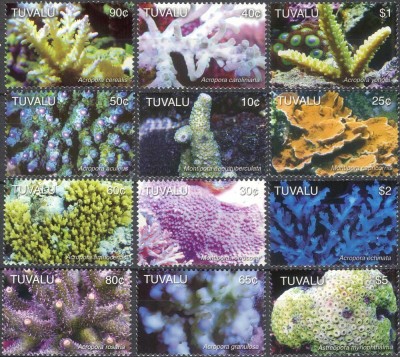 Tuvalu - Fauna Marina - CORALI - 12 val. - MNH - Mich. 25 EUR foto