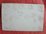 Fotografie Braila, Liceul Nicolae Balcescu Interbelic, Album Foto Vechi, 16.5x11 cm, Alb-Negru, Colectie