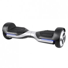 Hoverboard Cruiser 2.0 BT by Quer