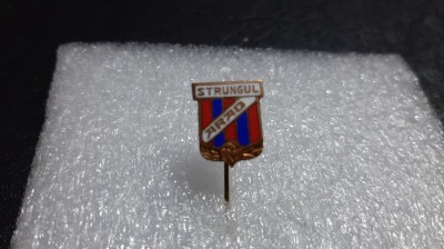 Insigna Strungul Arad foto