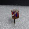 Insigna Strungul Arad