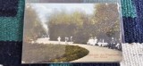 Carte postala Salutari din Pucioasa , Aleea Parcului
