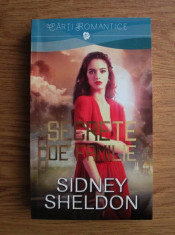 Sidney Sheldon - Secrete de familie foto