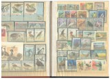 Colecție timbre străine neuzate, tematica păsări, fauna