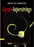 Corzi. Superstrings | Dinu Flamand, 2020