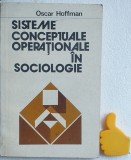 Sisteme conceptuale operationale in sociologie Oscar Hoffman