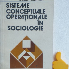 Sisteme conceptuale operationale in sociologie Oscar Hoffman