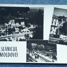 446 - Slanicul Moldovei / Slanic Moldova, mozaic/ carte postala RPR circulata