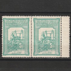 5B Tesatoarea LP58b Romania 1906 - in pereche cu margine dublu dantelata
