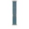 APPLE WATCH 49 LIGHT BLUE N TI ALP M-ZML