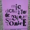 MIC DICTIONAR DE SUBIECTE COMICE-LAURENTIU CERNET