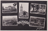 BAIA MARE ,MOZAIC,CIRCULATA,ROMANIA.