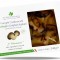 Ciuperci BIO la gratar, selectie CARDONCELLI Agrimperiale