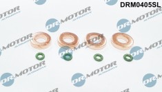 Set Garnituri Etansare,Injectoare 307810 DRM0405SL
