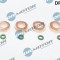 Set Garnituri Etansare,Injectoare 307810 DRM0405SL
