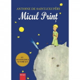 Micul print - Antoine de Saint-Exupery, Regis