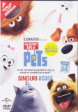 DVD animatie: Singuri acasa ( dublat romana - vezi descriere )