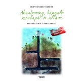 Aknatorony, b&aacute;nyal&oacute;, sz&eacute;nlap&aacute;t &eacute;s alt&aacute;r&oacute; - B&aacute;ny&aacute;szatr&oacute;l gyerekeknek - Kiv&aacute;ghat&oacute; makettel! - Medny&aacute;nszky Mikl&oacute;s