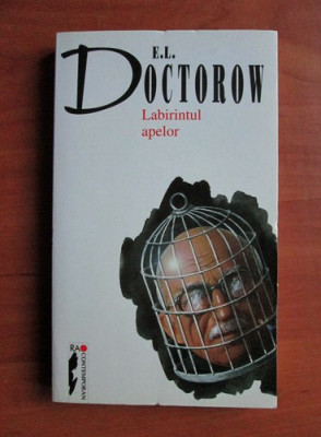 E. L. Doctorow - Labirintul apelor foto