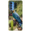 Husa compatibila cu Motorola Edge 20 model BLUE AND GOLD MACAW, Silicon, TPU, Viceversa, Transparent, Carcasa