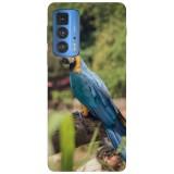 Husa compatibila cu Motorola G51 model BLUE AND GOLD MACAW, Silicon, TPU, Viceversa, Transparent, Carcasa