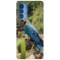 Husa compatibila cu Motorola Edge 20 Lite model BLUE AND GOLD MACAW, Silicon, TPU, Viceversa