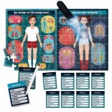 Puzzle STEM - An X-Ray of The Human Body | Headu