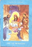 FIUL LUI DUMNEZEU-ANGHEL TH. POPESCU-271326