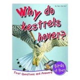Why do kestrels hover?