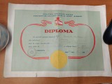 AMS - DIPLOMA LA CONCURSUL ZONA ATLETISM - IASI, ANUL 1956, MINISTERUL AFACERILOR INTERNE, ASOCIATIA DE CULTURA FIZICA SI SPORT &bdquo;DINAMO&rdquo;