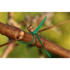 Sarmulita de legat plastifiata - rola 250 m