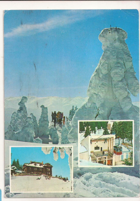 RF37 -Carte Postala- Poiana Brasov, circulata 1979