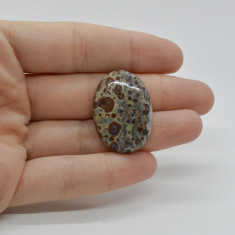 Cabochon jasp asteroid 30x21x6mm c50