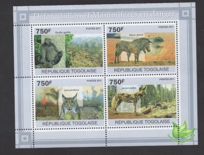 TOGO 2011 FAUNA ANIMALE SALBATICE MAMIFERE foto