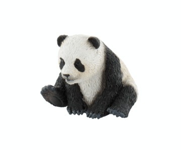 Pui de urs panda foto