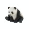 Pui de urs panda