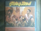 Vinil (vinyl) - Rising Sound (Grup Funk-Disco), (Electrecord) -Basatomba (Hunting for Leopard); Get Up, Wake Up; This Is A Man; I Love You, I Need You, Soundtrack