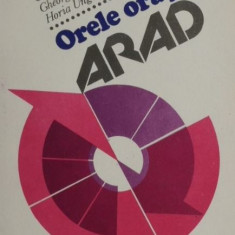 Orele orasului Arad - Florin Banescu