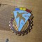 Insigne (3) Spartachiada RPR 1957