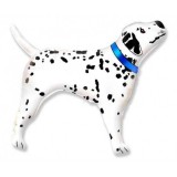 Balon folie dalmatian 90x82 cm