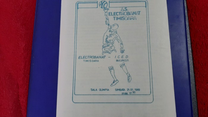 program Electrobanat Timisoara - ICED Buc.