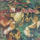 Vinil Nicolae Florei - Romante Electrecord LP 1982, Muzica Clasica Romaneasca, Imbatranesc si tot mi-e dor de tine, Te-astept pe acelasi drum