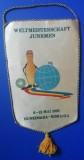 D9 23 - fanion - sport - sport - popice - Concurs juniori - Hunedoara 1995