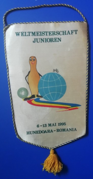D9 23 - fanion - sport - sport - popice - Concurs juniori - Hunedoara 1995