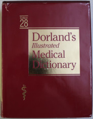 DORLAND &amp;#039; S ILLUSTRATED MEDICAL DICTIONARY , EDITION 28 , 1994 foto